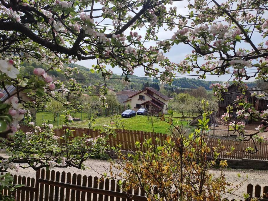 Cottage In Traditional Village Bradulet, Arges County Exterior photo